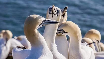 爱游戏全站-法国公开赛落幕，冠军选手表现惊艳，法国公开赛落幕,冠军选手表现惊艳吗