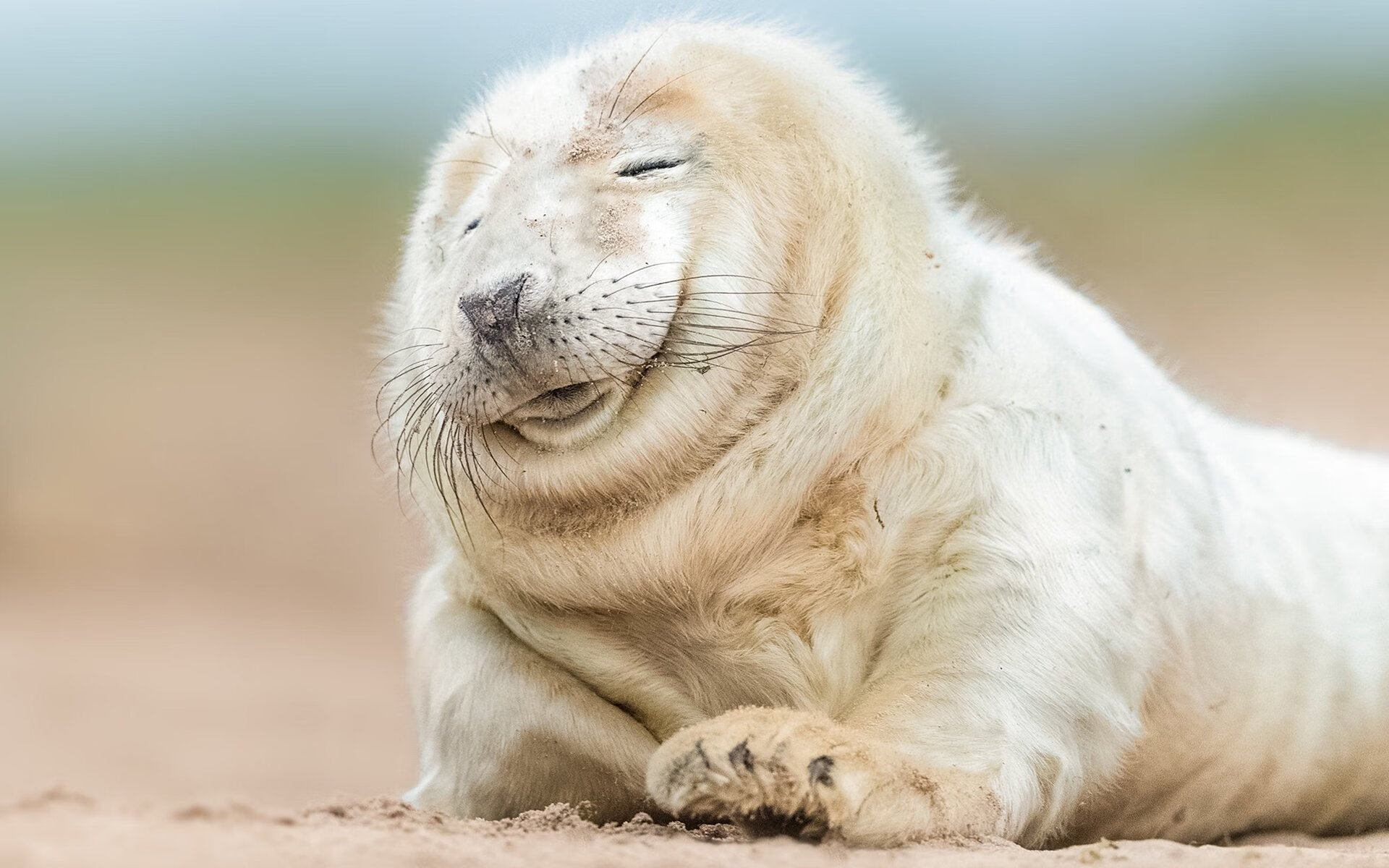 “未来领袖”青少年青训未来大会在上海成功举办,助推行业繁荣