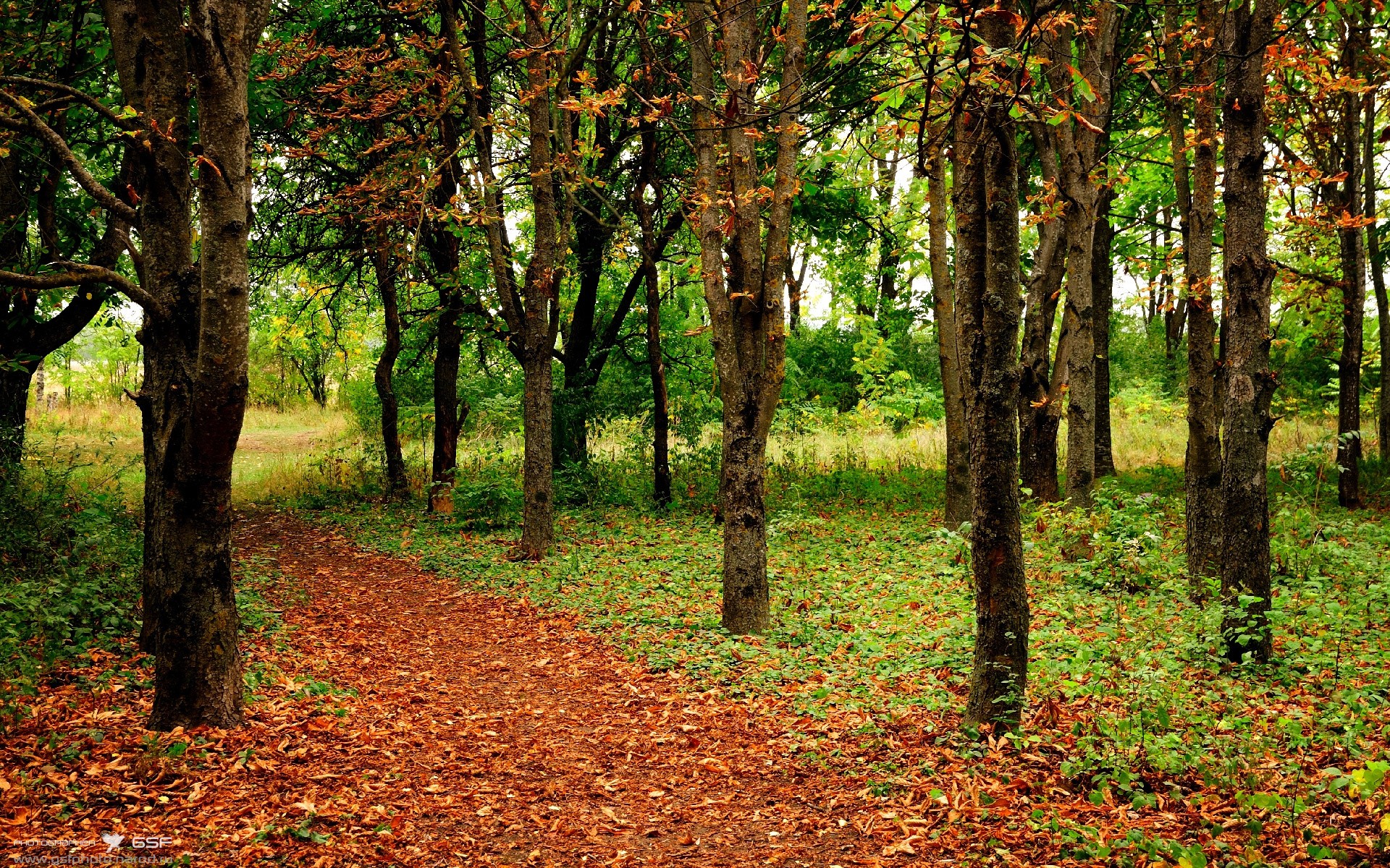 爱游戏中国官方网站平台-“法甲争冠形势渐明，豪门争锋不断”，法甲竞争激烈