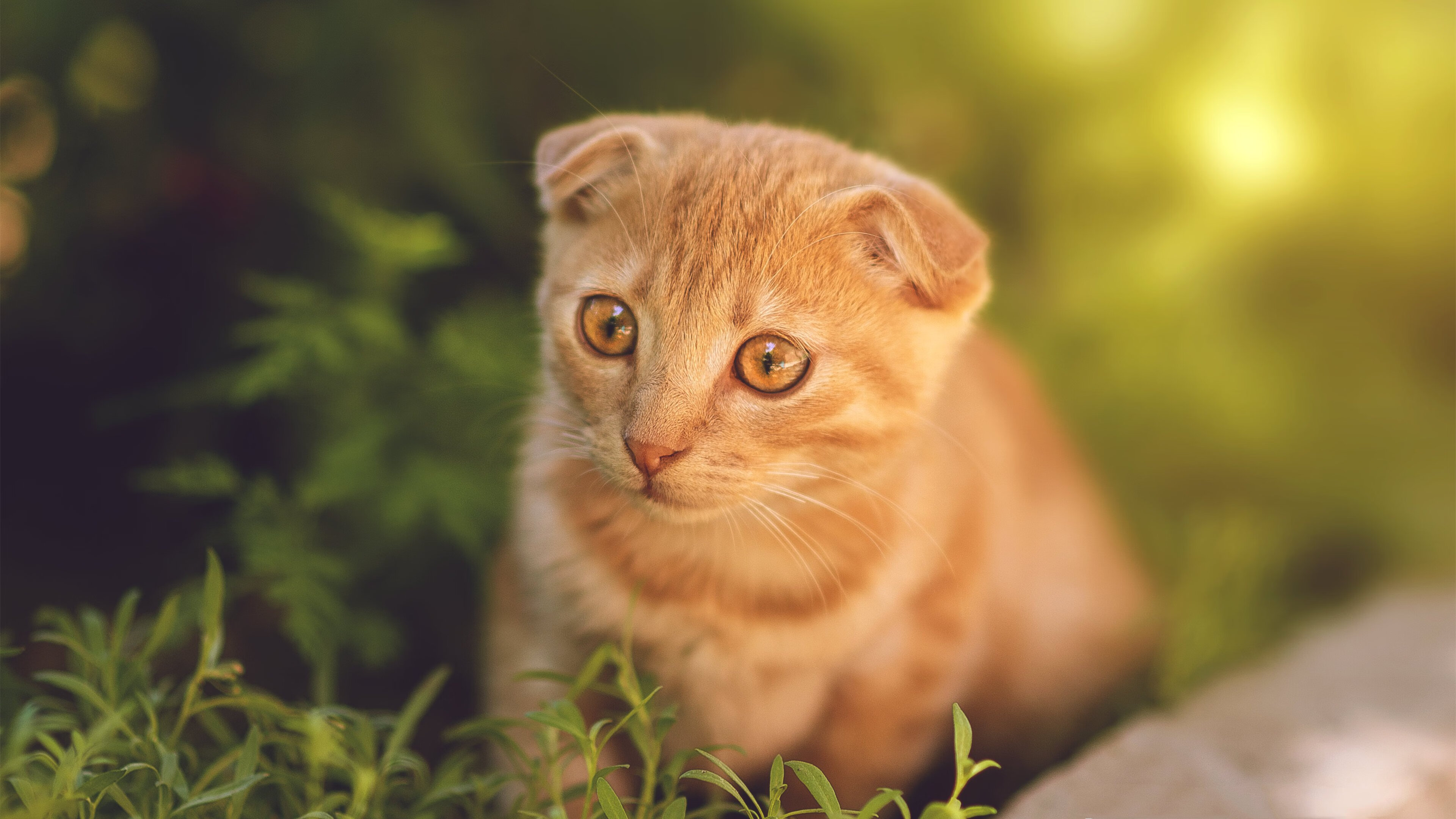 《使命召唤》选手:快速反应与精准射击的训练,使命召唤 精准射击