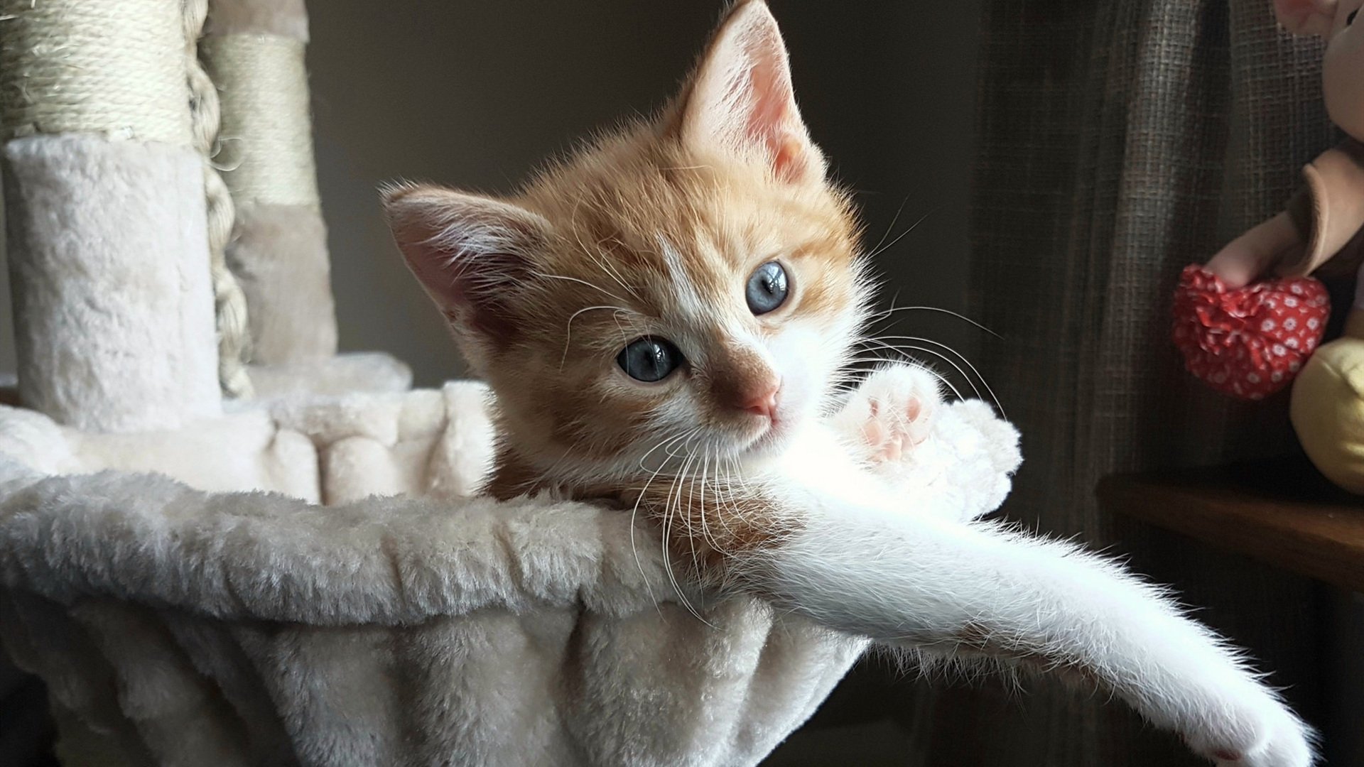 全国青少年“篮球文艺”融合比赛在北京圆满落幕,2021全国青少年篮球邀请赛