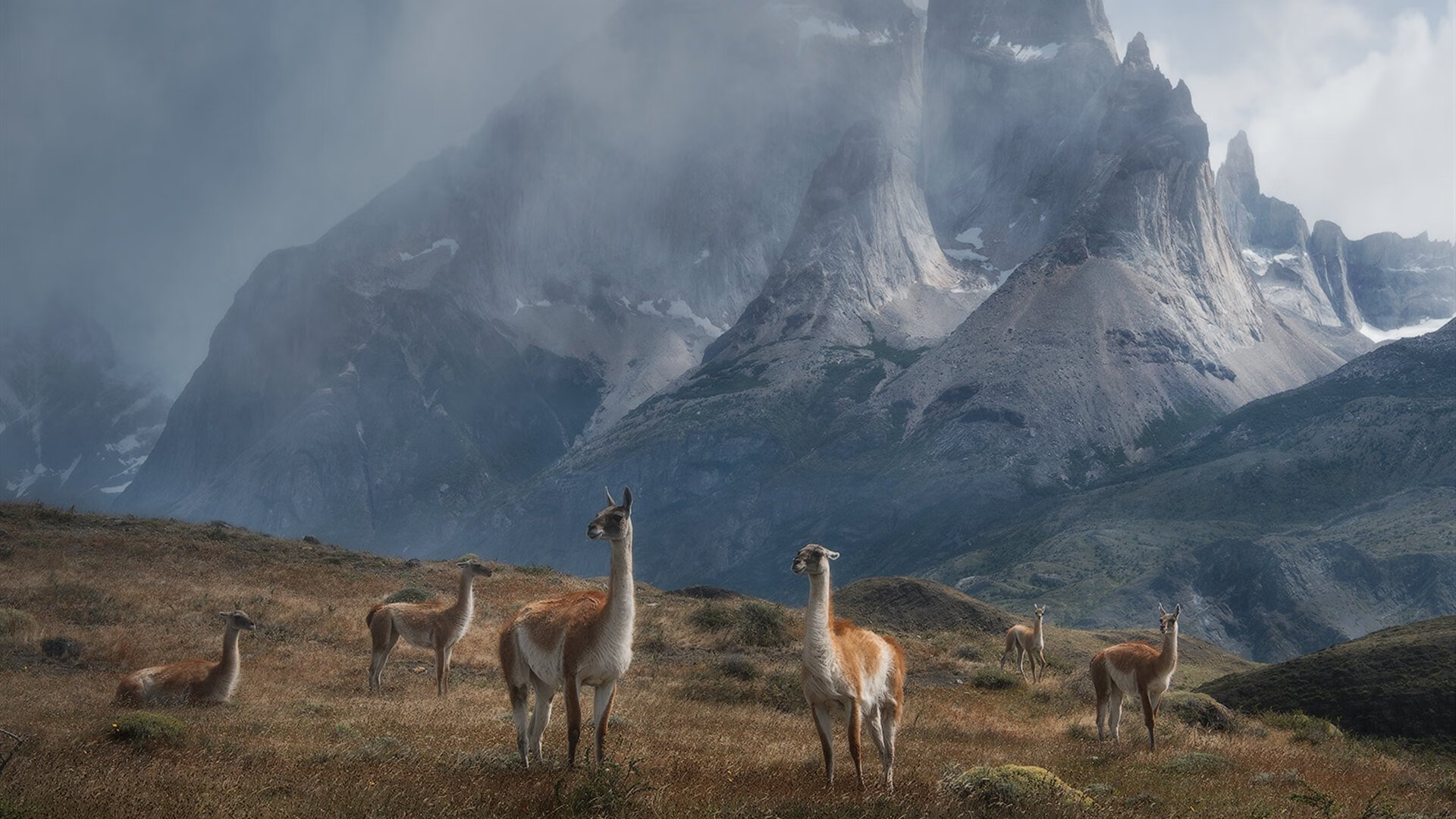 爱游戏-失误频繁：上海队全场失误达20次，错失胜利关键！，上海队夺冠阵容