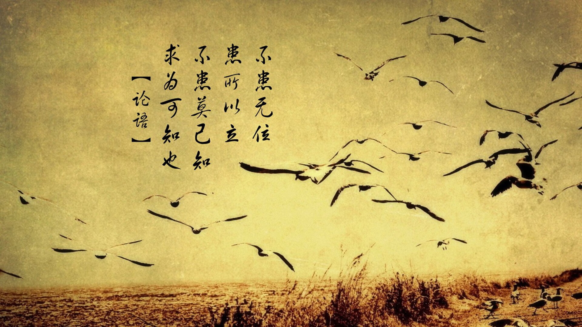 法甲“战术风暴”再起,比赛观赏性增强,法甲战报