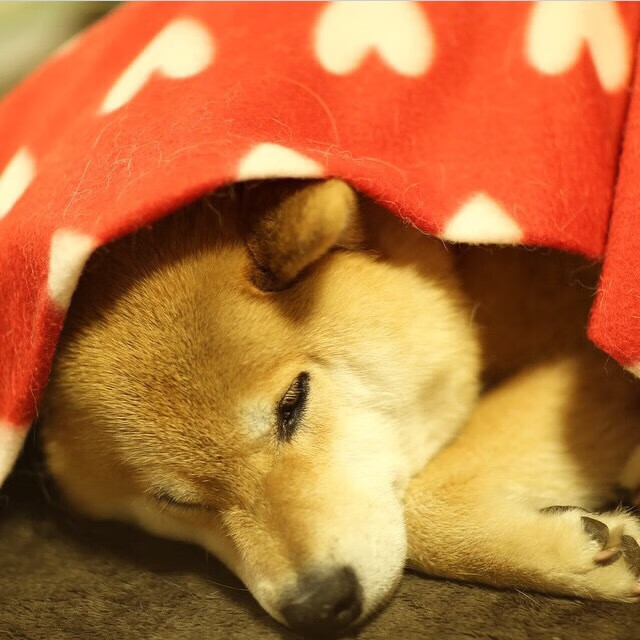 西甲豪门新战略,稳扎稳打求胜利,豪门三强挥金如土,赚足流量的西甲联赛迎来新伙伴