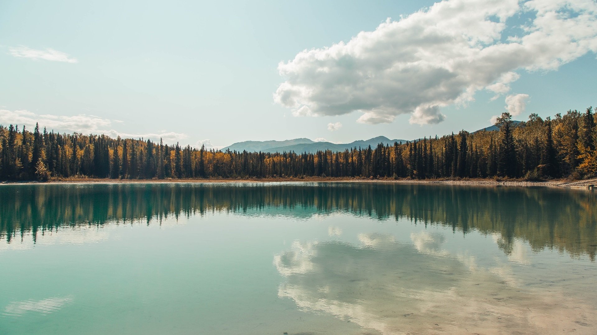 足球主题动漫项目获青少年喜爱,足球相关动画