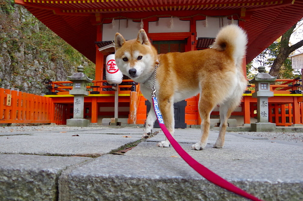 青少年篮球创新科技教育宣传活动在各大城市展开,青少年篮球技巧大赛策划案