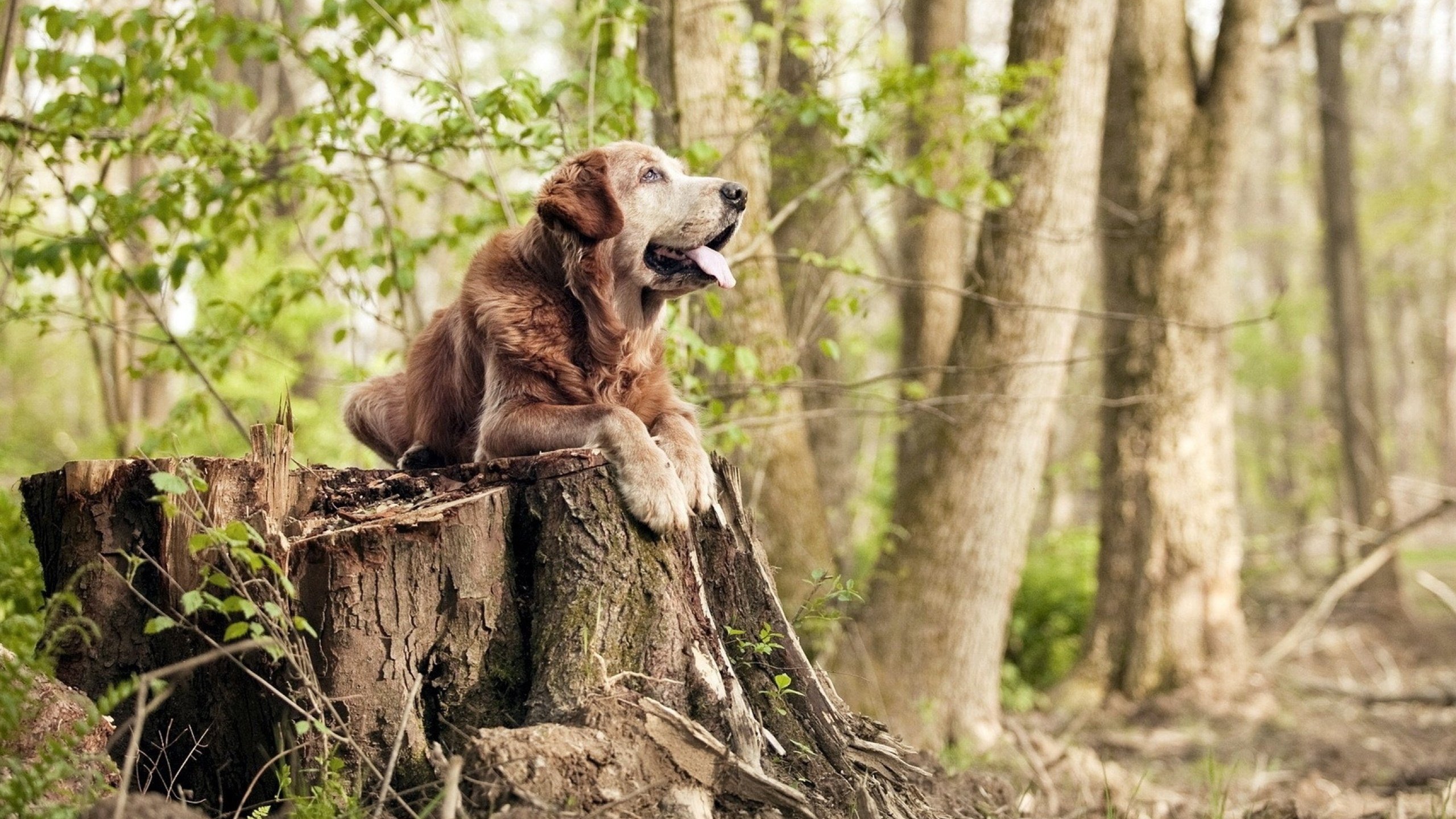 EDG开展“心理抗压”专项训练营