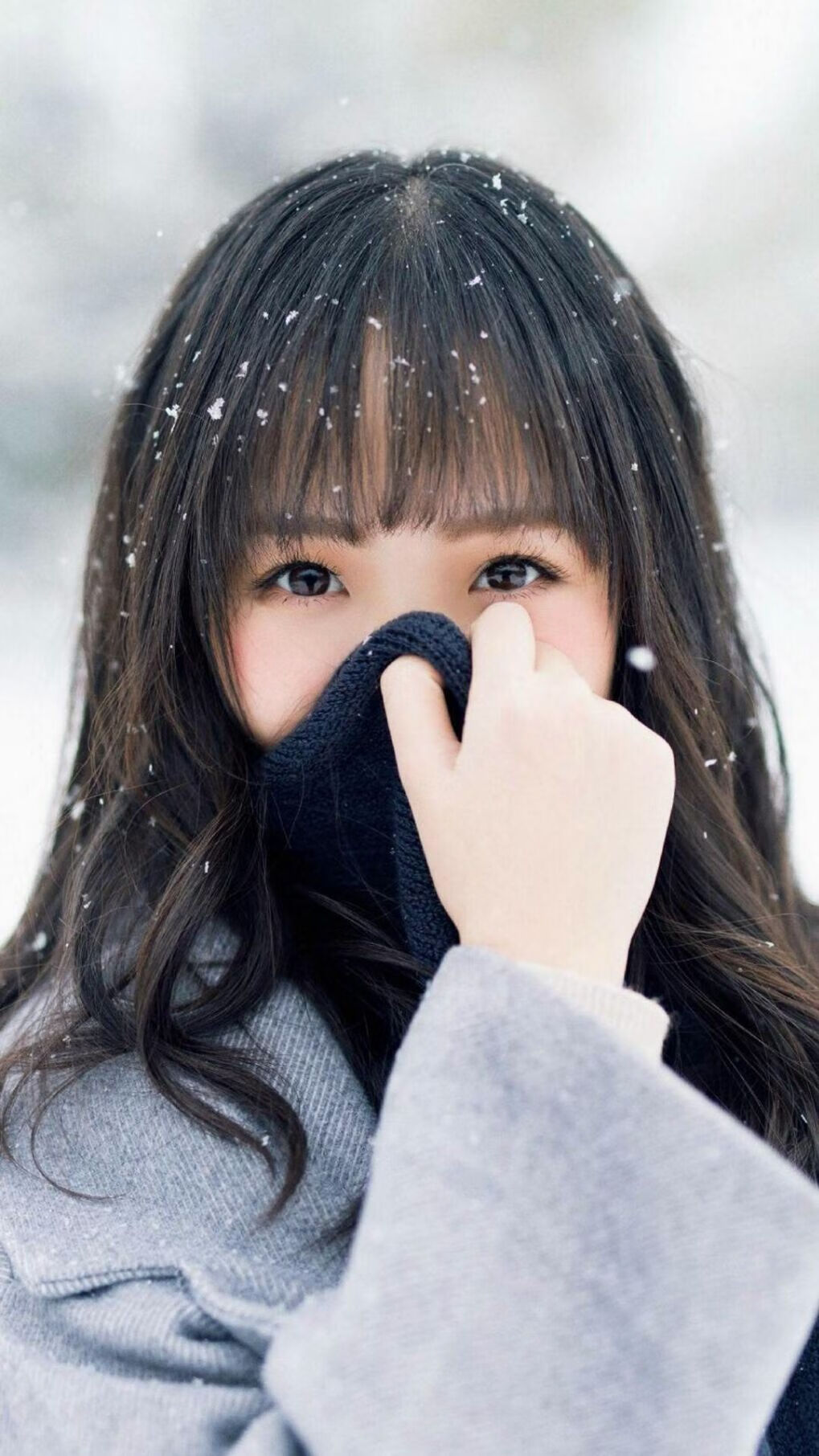 AYX体育官网-NBA常规赛焦点战，字母哥强势统治篮下率雄鹿连胜，nba字母哥选秀