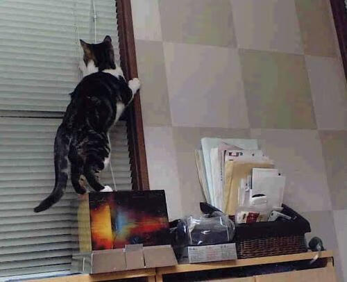 日本足球队表现抢眼,轻取对手晋级,日本队足球怎么样