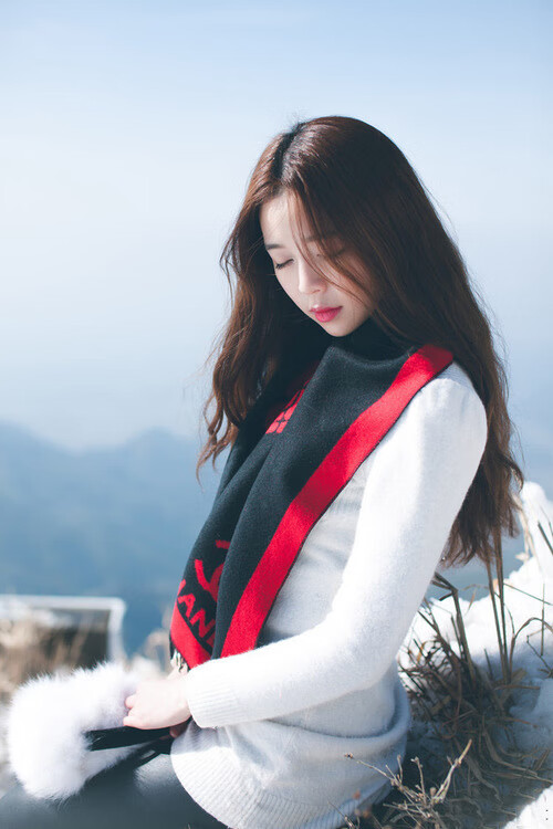 森林狼球队战术执行更有效,森林狼球队阵容