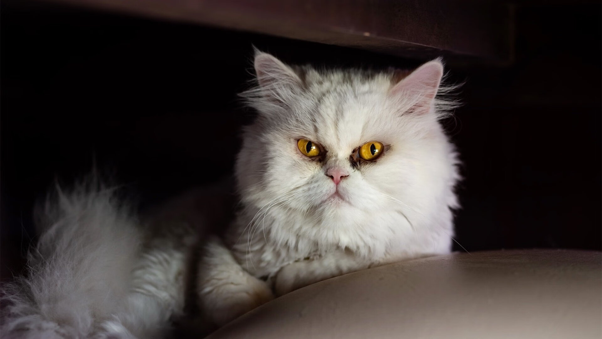 爱游戏app-比利亚雷亚尔主场大胜，表现抢眼，比利亚雷亚尔队