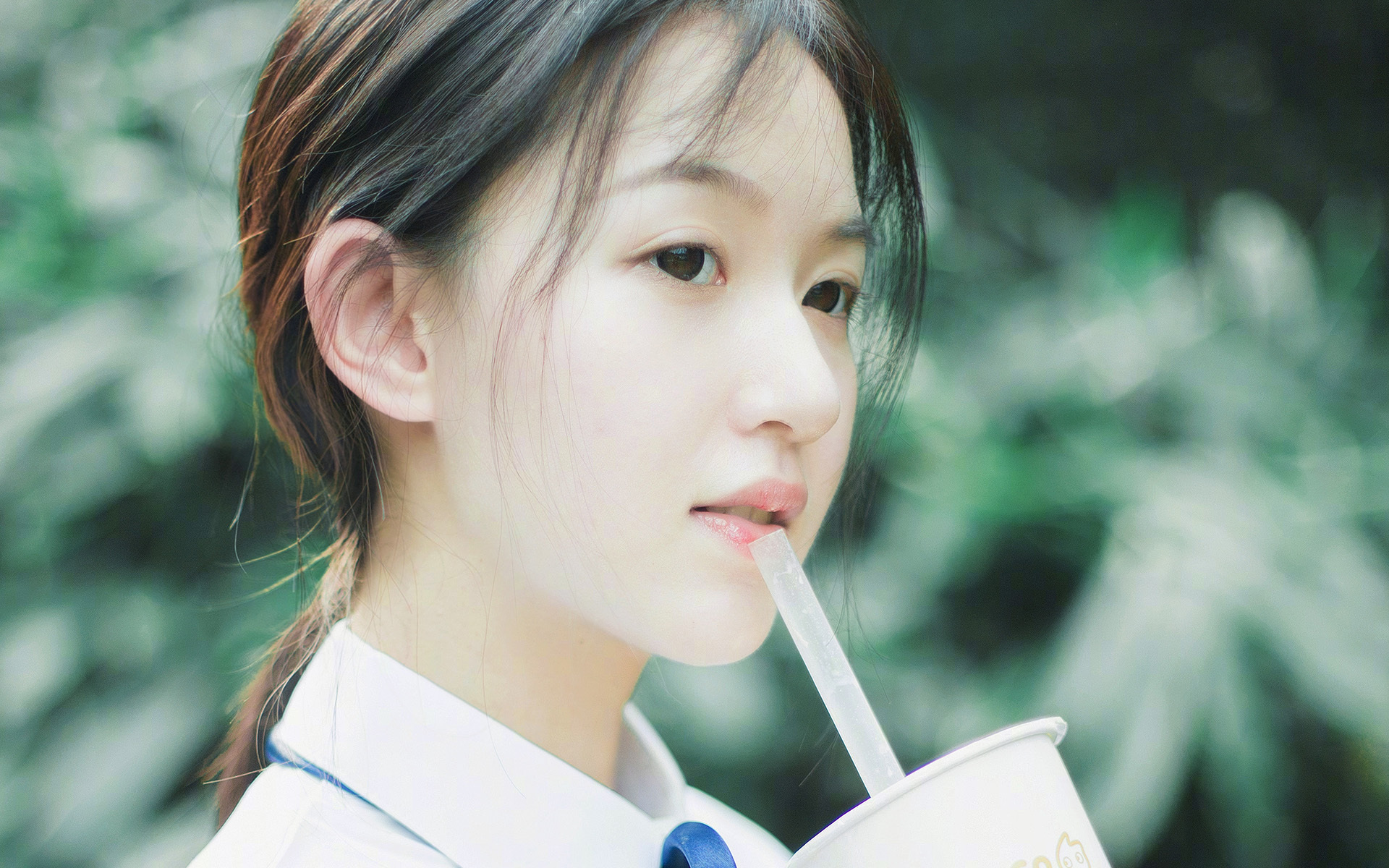 河南建业实力强劲，挑战亚冠最强球队，河南建业哪一年踢的亚冠