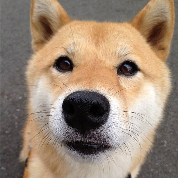 青少年篮球发展战略规划制定,青少年篮球事业的目标