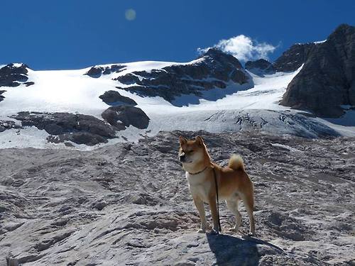 爱游戏体育app-亚冠联赛国足迎战 悬念持续升温，亚冠中国足球最新新闻