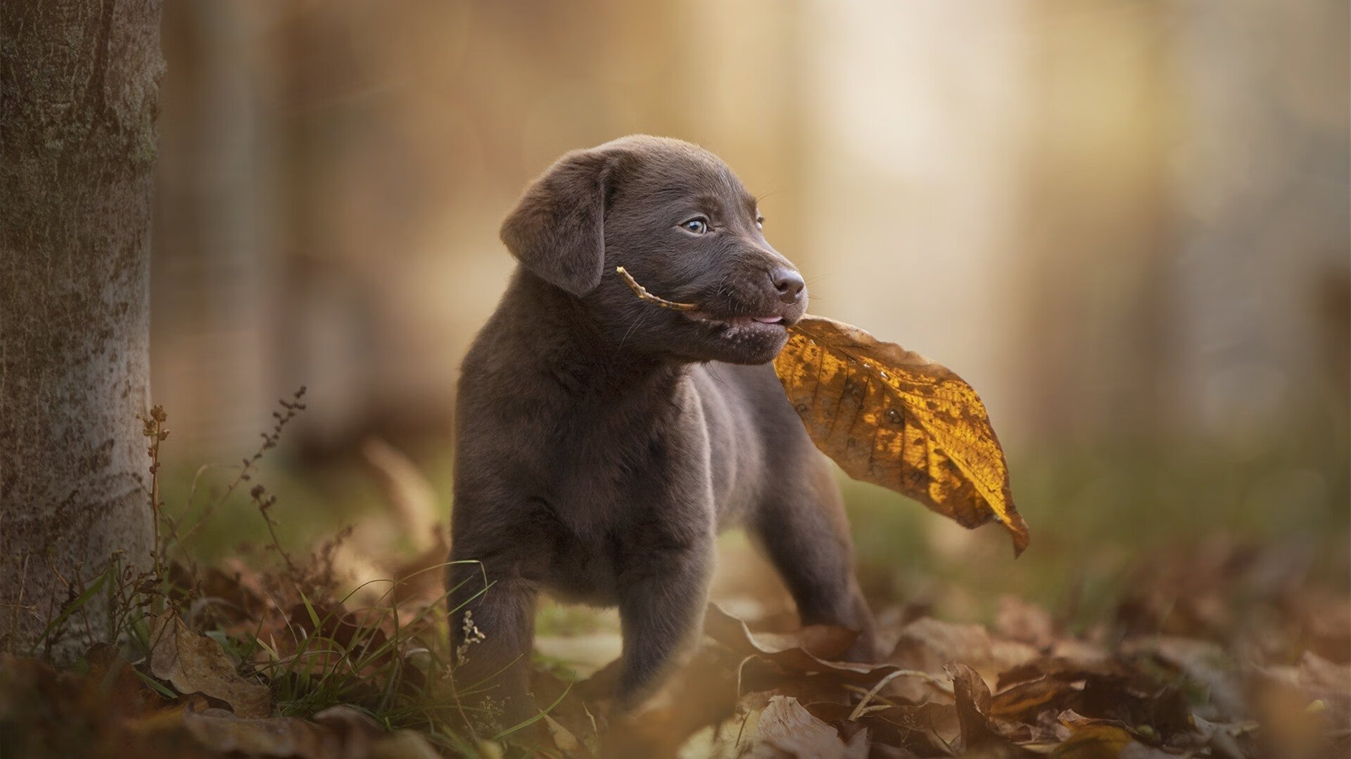 爱游戏体育平台-体育新闻中心联合高校探索体育影像人才共育机制，体育产业人才培养