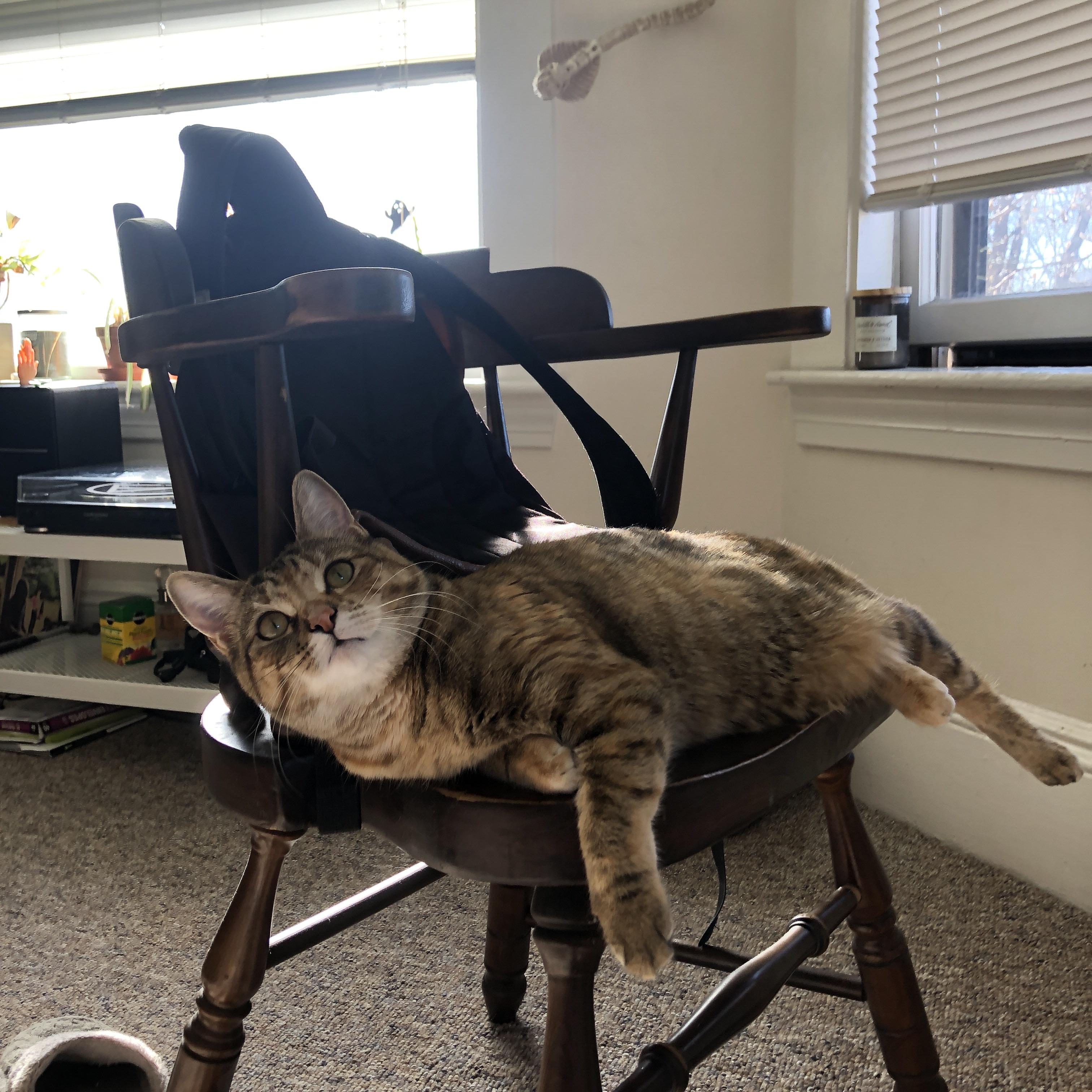 国家队比赛风格缺乏鲜明特色,国家队表现