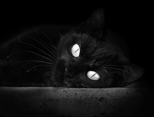 国际米兰攻防节奏衔接更趋成熟,国际米兰常用阵型