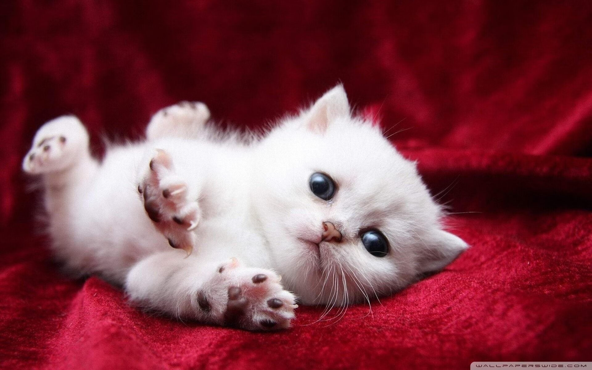 爱游戏平台-乌拉圭男篮在南美锦标赛中拼搏，为奥运梦想全力以赴，乌拉圭男篮实力