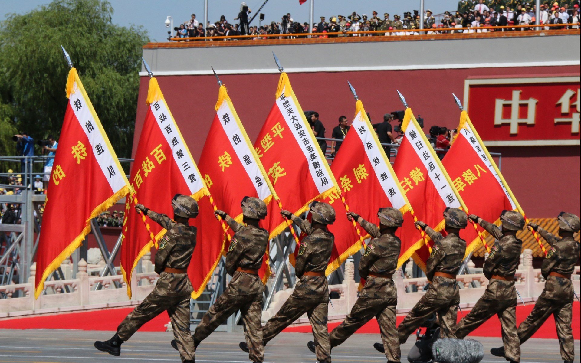 张伟丽强势晋级格斗冠军赛,张伟丽格斗比赛视频