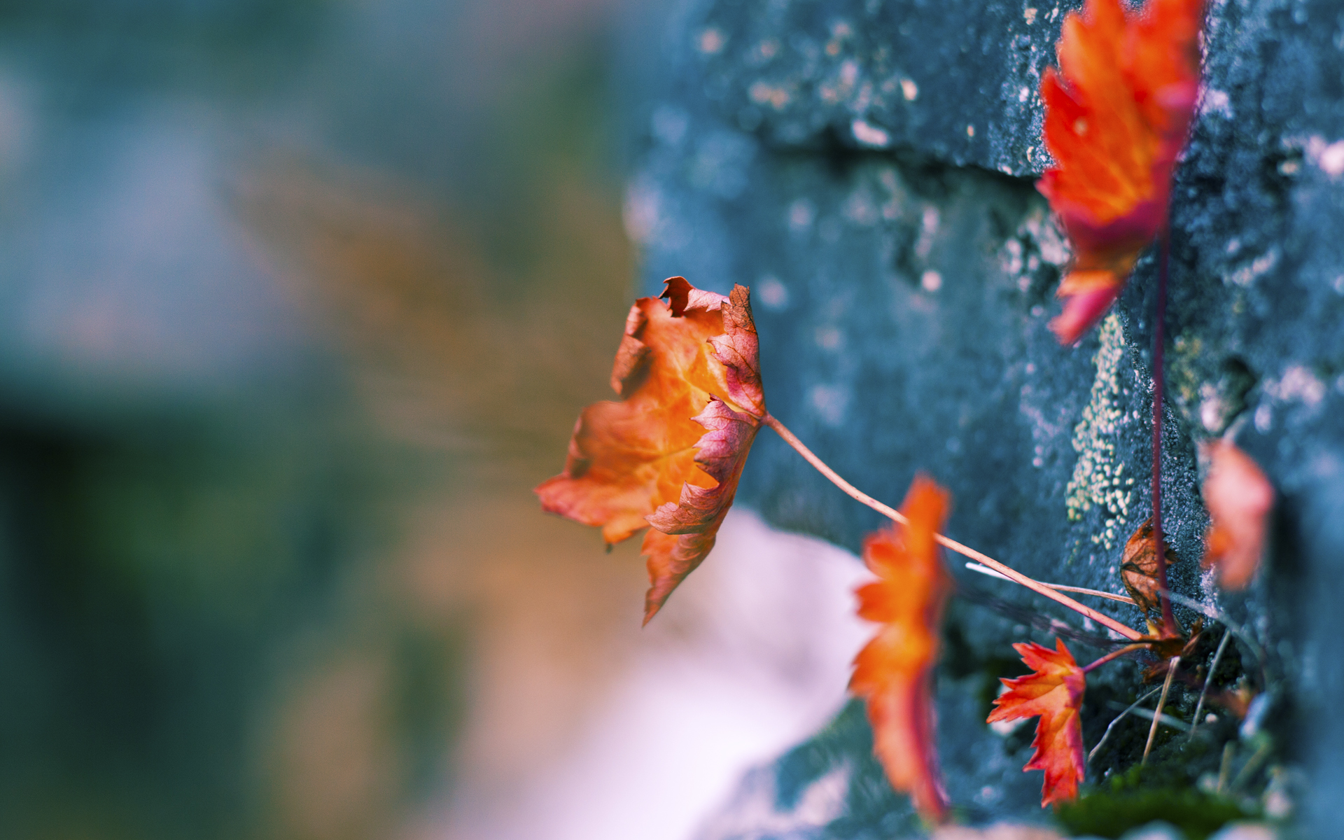 自动裁判系统推动公平竞赛,减少人为误判,裁判机器