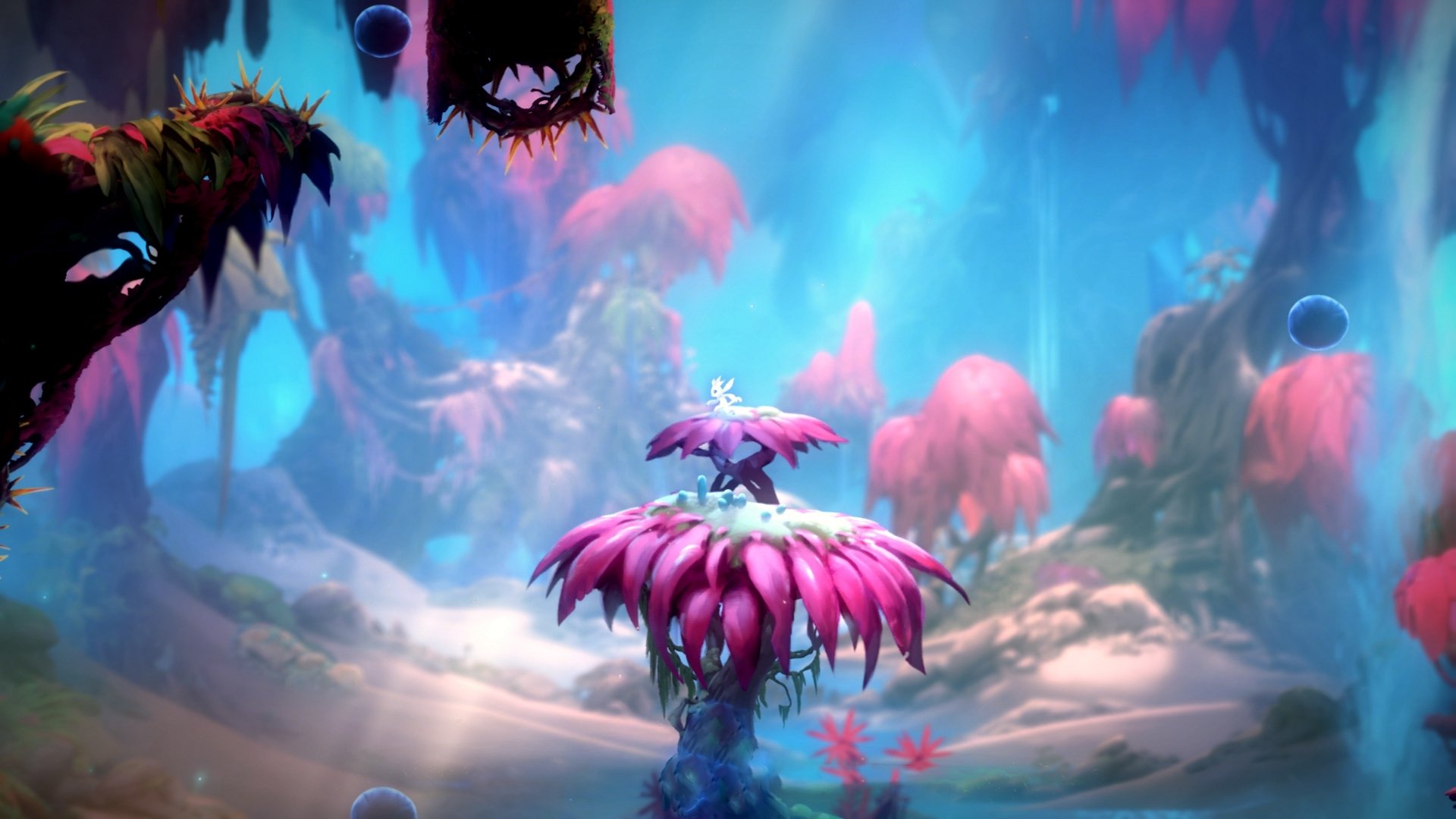 爱游戏-袋鼠队灵活的反击战术，时常令对手防不胜防，袋鼠攻击