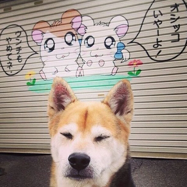 爱游戏官方网站-詹姆斯抢断致胜湖人再度问鼎榜首，詹姆斯湖人揭幕战